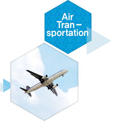 Air Transportation