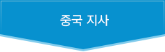 중국 지사